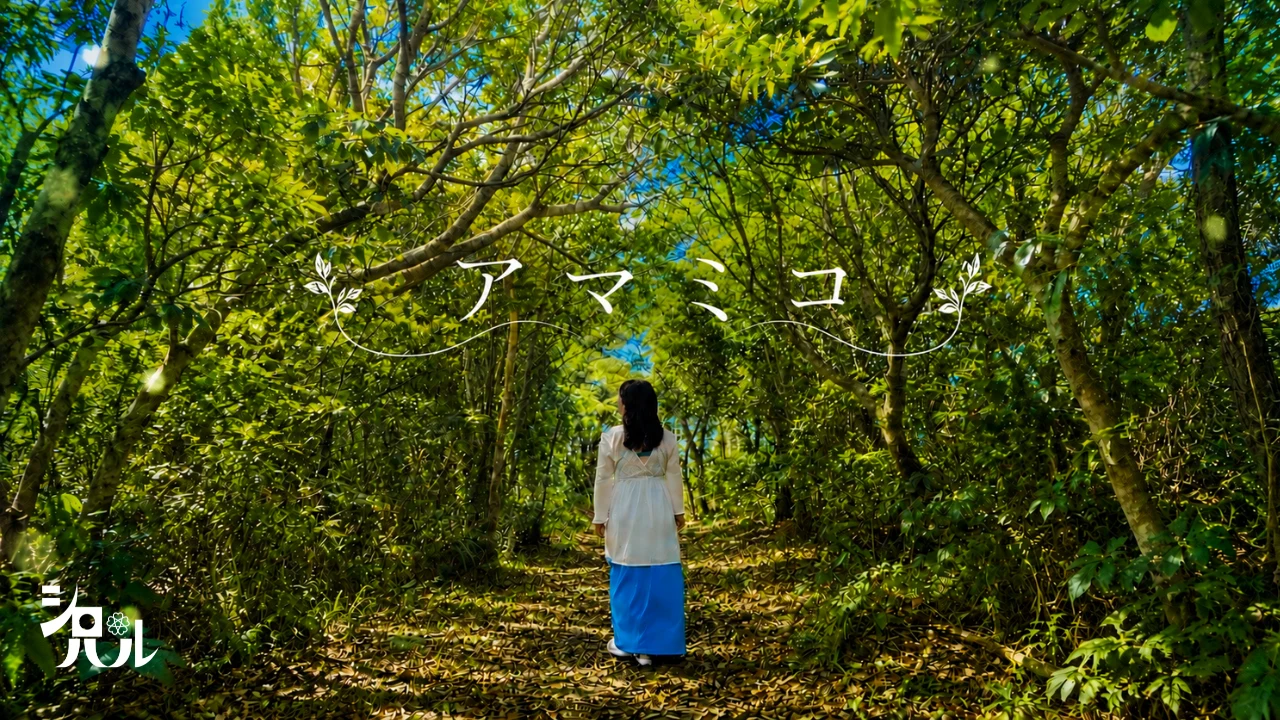 アマミコ